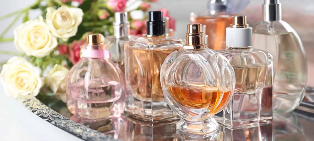 TagoMago og Perfumeria opdaterede deres websteder med en søgebrug på 82% og 108% over gennemsnittet